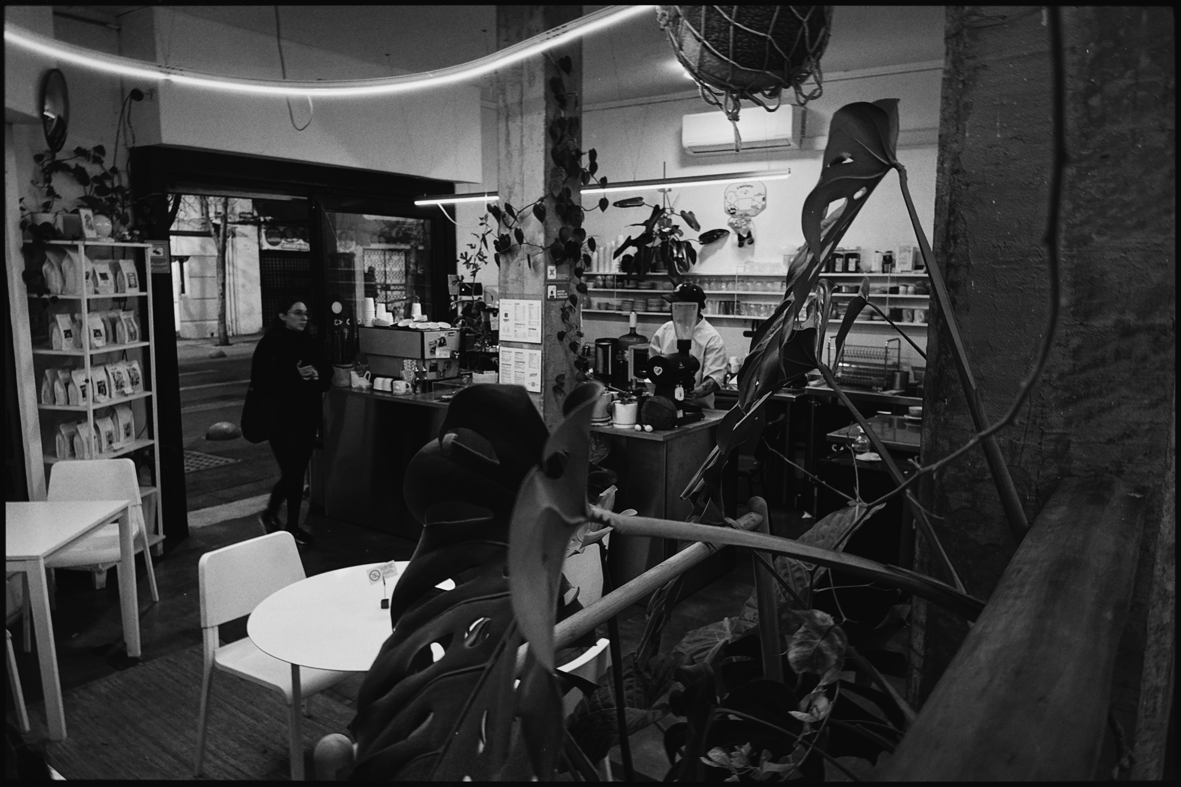 Personas, plantas y barra dentro de Café Triciclo